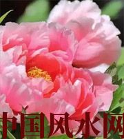 驻马店预示你财运上升，姻缘可成的梦境，快来看看吧！