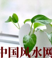 驻马店家中摆放六种吉祥物，会打开您的财运大门！